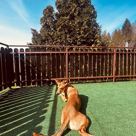Willa Karolinka Stroza - Pet Friendly Myślenice Dış mekan fotoğraf