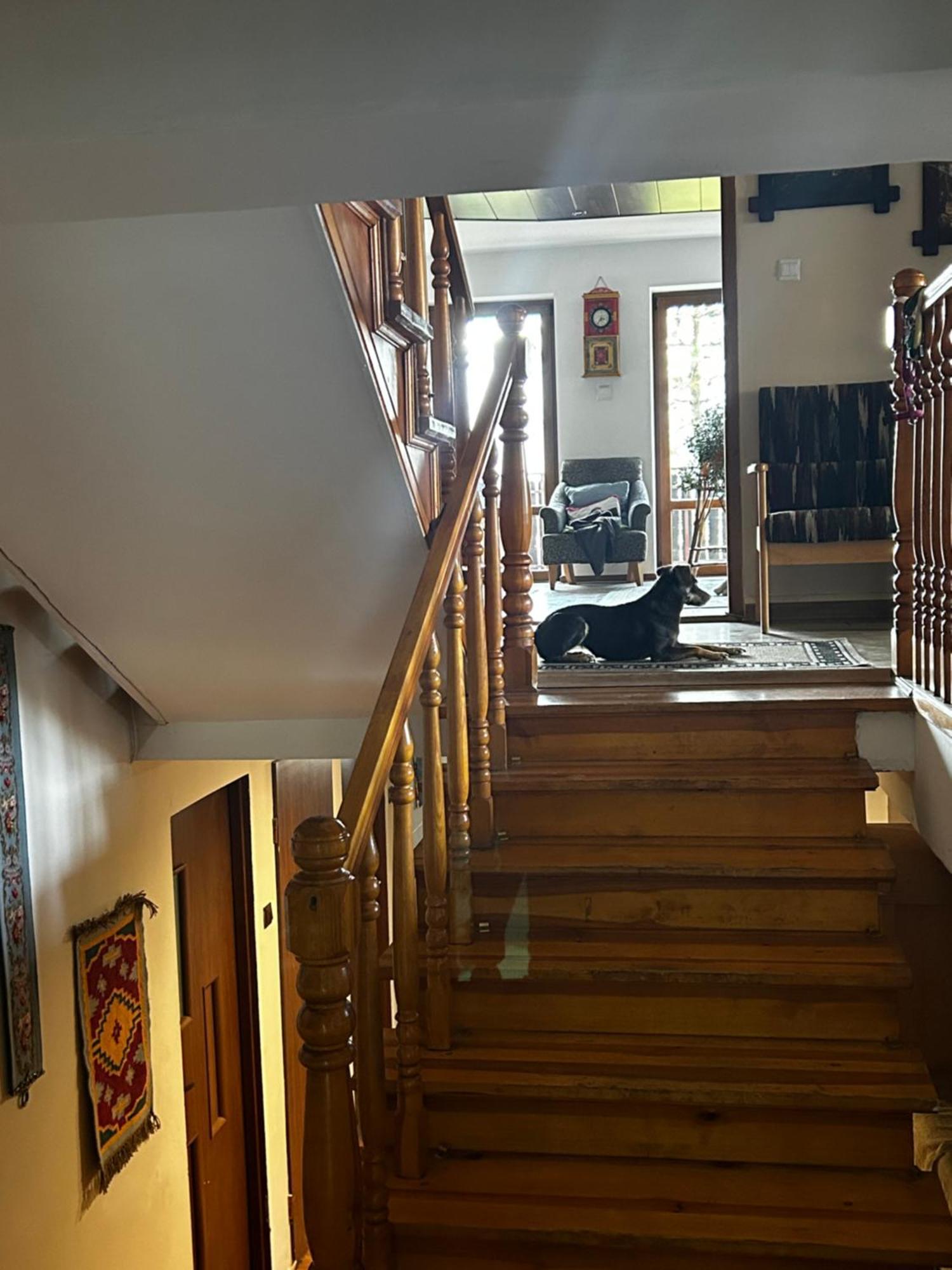 Willa Karolinka Stroza - Pet Friendly Myślenice Dış mekan fotoğraf