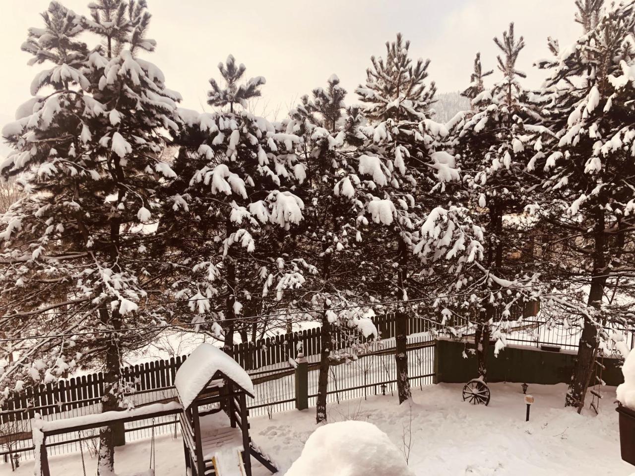 Willa Karolinka Stroza - Pet Friendly Myślenice Dış mekan fotoğraf