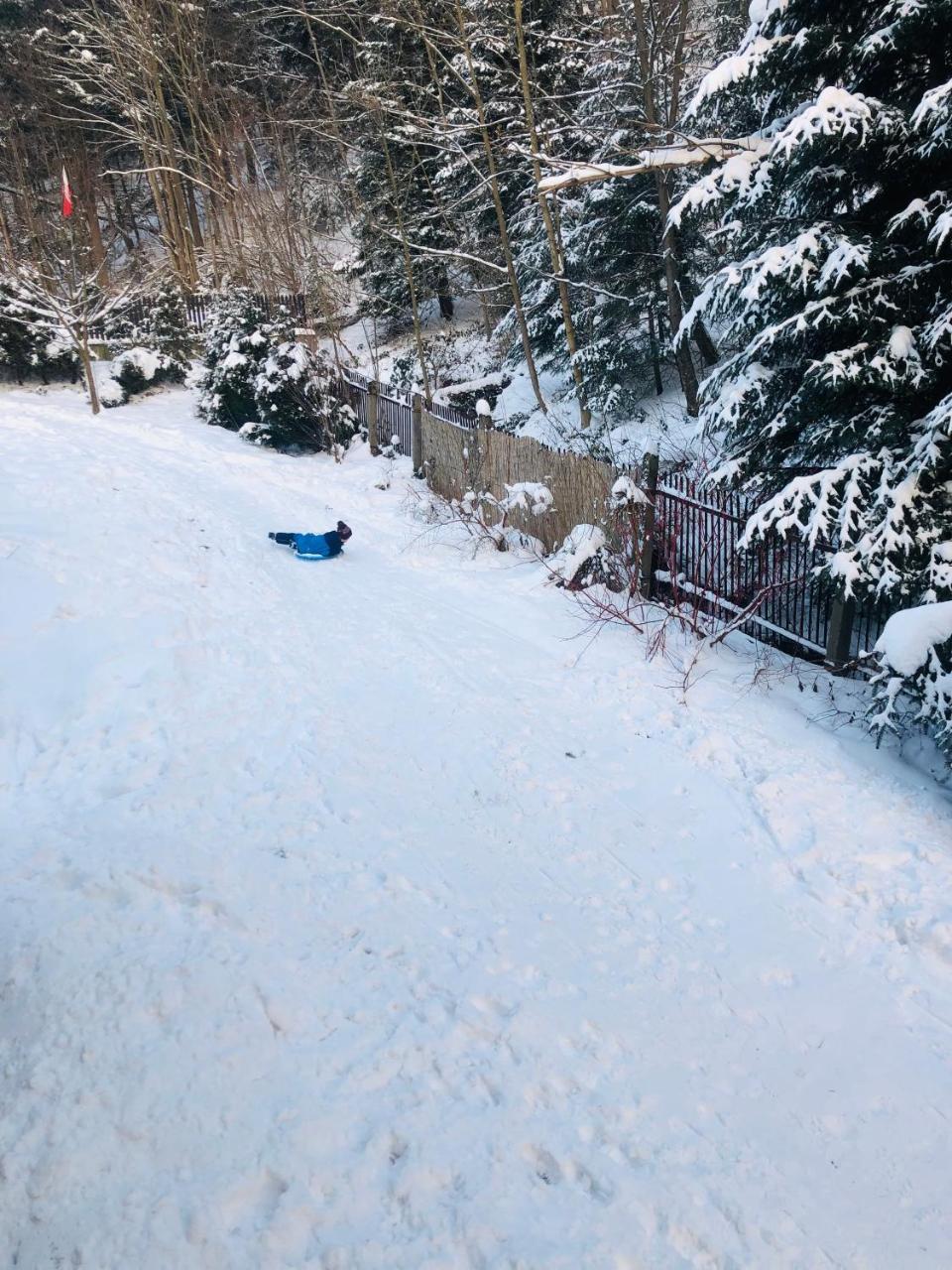 Willa Karolinka Stroza - Pet Friendly Myślenice Dış mekan fotoğraf